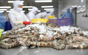 Covid-19: Cơ hội và thách thức cho ngành thủy sản Việt Nam