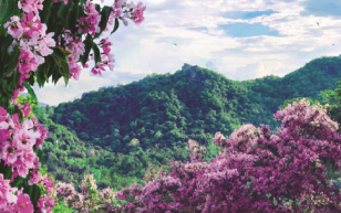 Khúc giao mùa Bảy Núi