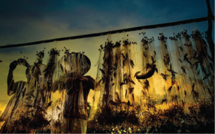 THỜI GIAN VÀ ĐỊA ĐIỂM ĐẸP NHẤT CỦA MIỀN TÂY SÔNG NƯỚC