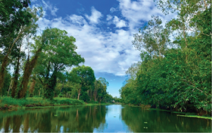 Khám phá “báu vật” vùng Tây sông Hậu