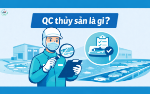 QC thủy sản là gì? Vai trò trong nhà máy chế biến