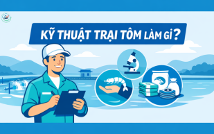 Sale kỹ thuật thủy sản: Nghề “đi nhiều – học nhanh – thu nhập tốt”?